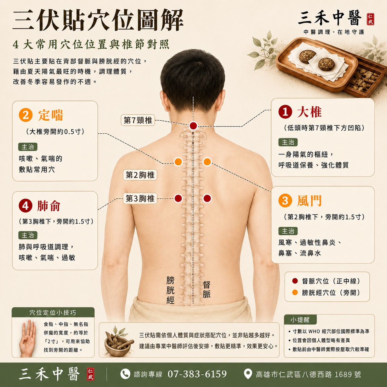 三伏貼穴位圖解